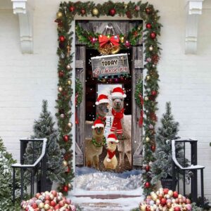Today I Choose Joy Alpacas Farmhouse Door Cover Xmas Gifts For Pet Lovers Christmas Gift 3 tt5evk.jpg
