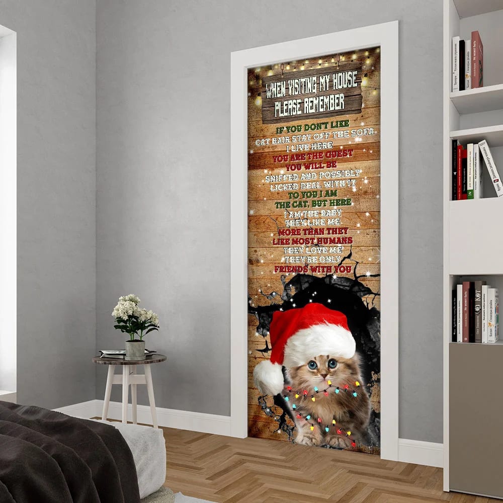 When Visiting My House Please Remember Door Cover, Cat Lover Door Cover, Christmas Gift