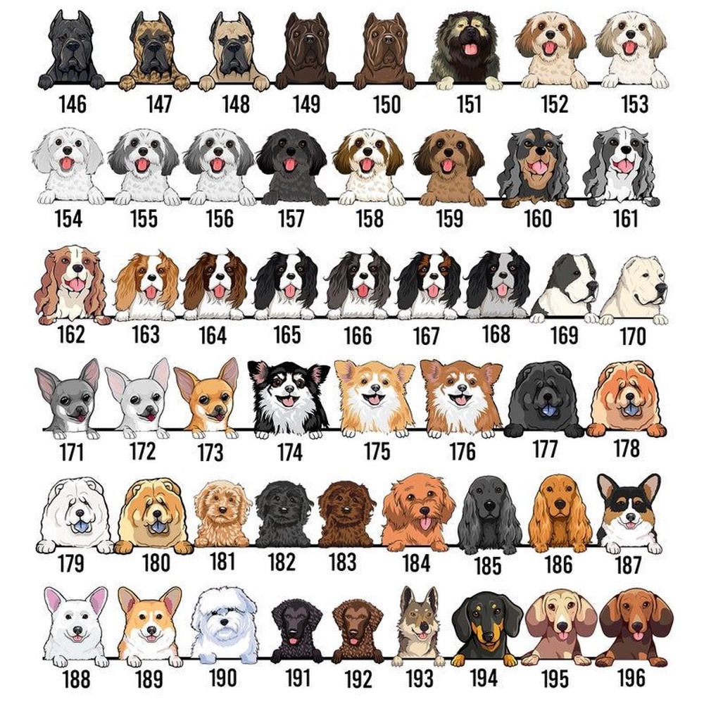 Breast Cancer Tie Dye Pattern Funny Dog Customized JD 13 Shoes, Custom Dog Basketball Shoes, Personalized Pet JD 13 Shoes, Pet Lover Shoes Gift Breast Cancer Tie Dye Pattern Funny Dog Customized JD 13 Shoes, Custom Dog Basketball Shoes, Personalized Pet JD 13 Shoes, Pet Lover Shoes Gift