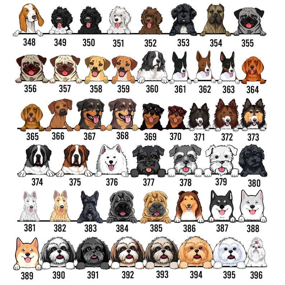 Breast Cancer Tie Dye Pattern Funny Dog Customized JD 13 Shoes, Custom Dog Basketball Shoes, Personalized Pet JD 13 Shoes, Pet Lover Shoes Gift Breast Cancer Tie Dye Pattern Funny Dog Customized JD 13 Shoes, Custom Dog Basketball Shoes, Personalized Pet JD 13 Shoes, Pet Lover Shoes Gift