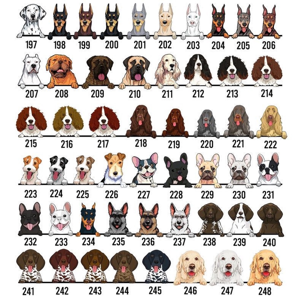 Breast Cancer Tie Dye Pattern Funny Dog Customized JD 13 Shoes, Custom Dog Basketball Shoes, Personalized Pet JD 13 Shoes, Pet Lover Shoes Gift Breast Cancer Tie Dye Pattern Funny Dog Customized JD 13 Shoes, Custom Dog Basketball Shoes, Personalized Pet JD 13 Shoes, Pet Lover Shoes Gift