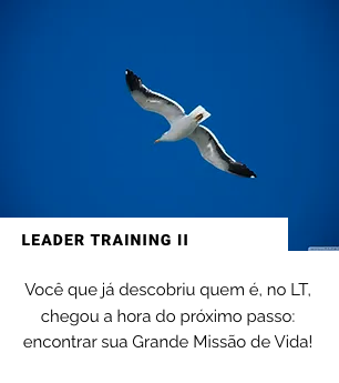 Leader Training II o próximo passo