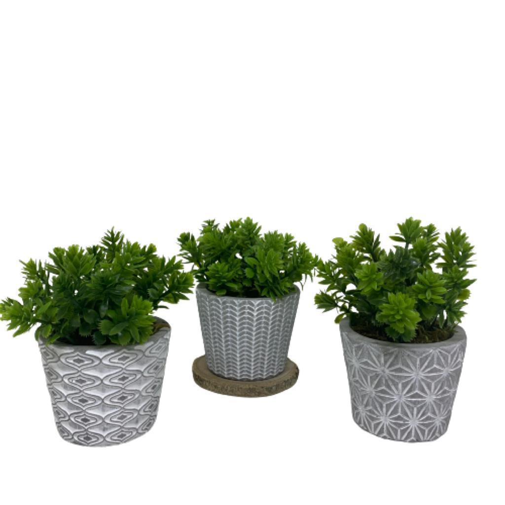 Trio vasos de cimento decorativo estampado com planta