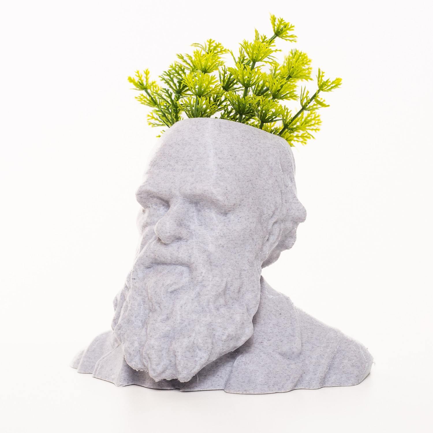 Vaso Decorativo Darwin