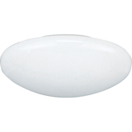 Progress Lighting® P8025-60 Dome Shower Trim, 2-3/16 in ID x 8-3/4 in OD, CFL Lamp, For Use With 6 in Shower Light, Single Lamp IC and Non-IC Housing, Aluminum