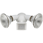 RAB Luminator® LU300W Floodlight Kit, (2) PAR38 Incandescent Lamp, 300 W Fixture, 120 VAC, Polycarbonate Housing