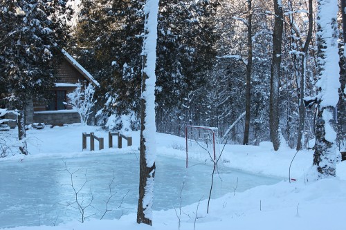 ice-rink