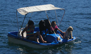 pedal-boat