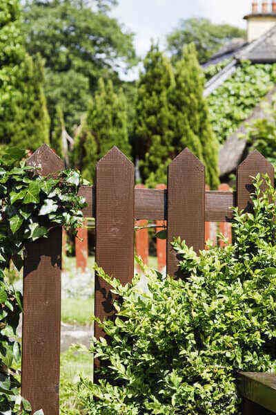 Garden Fencing