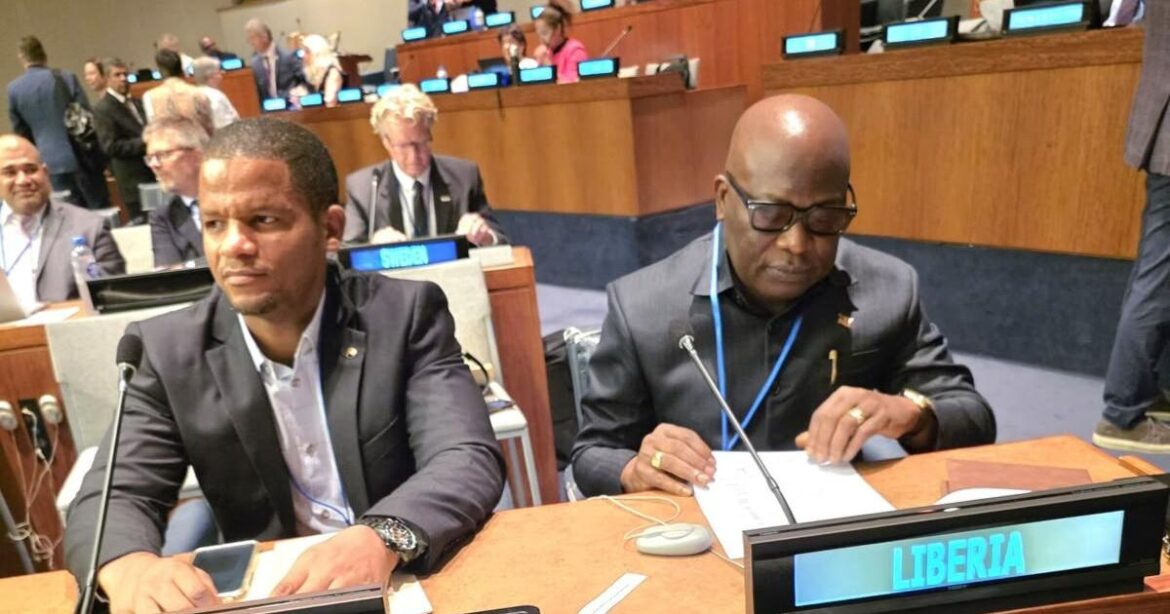 LLA Takes Liberia’s Land Modernization Drive to UN Geospatial Forum | News