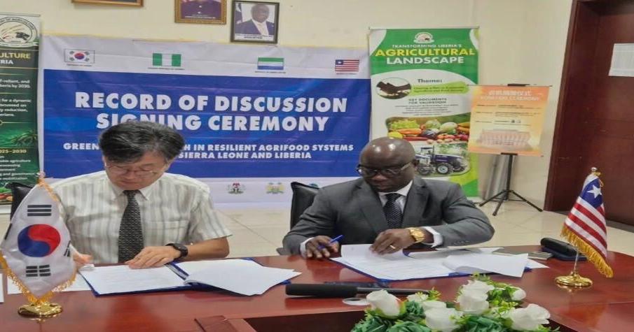 Gov’t, KOICA Sign US$1M Deal to Empower Youth in Rice, Cassava Value Chains | News