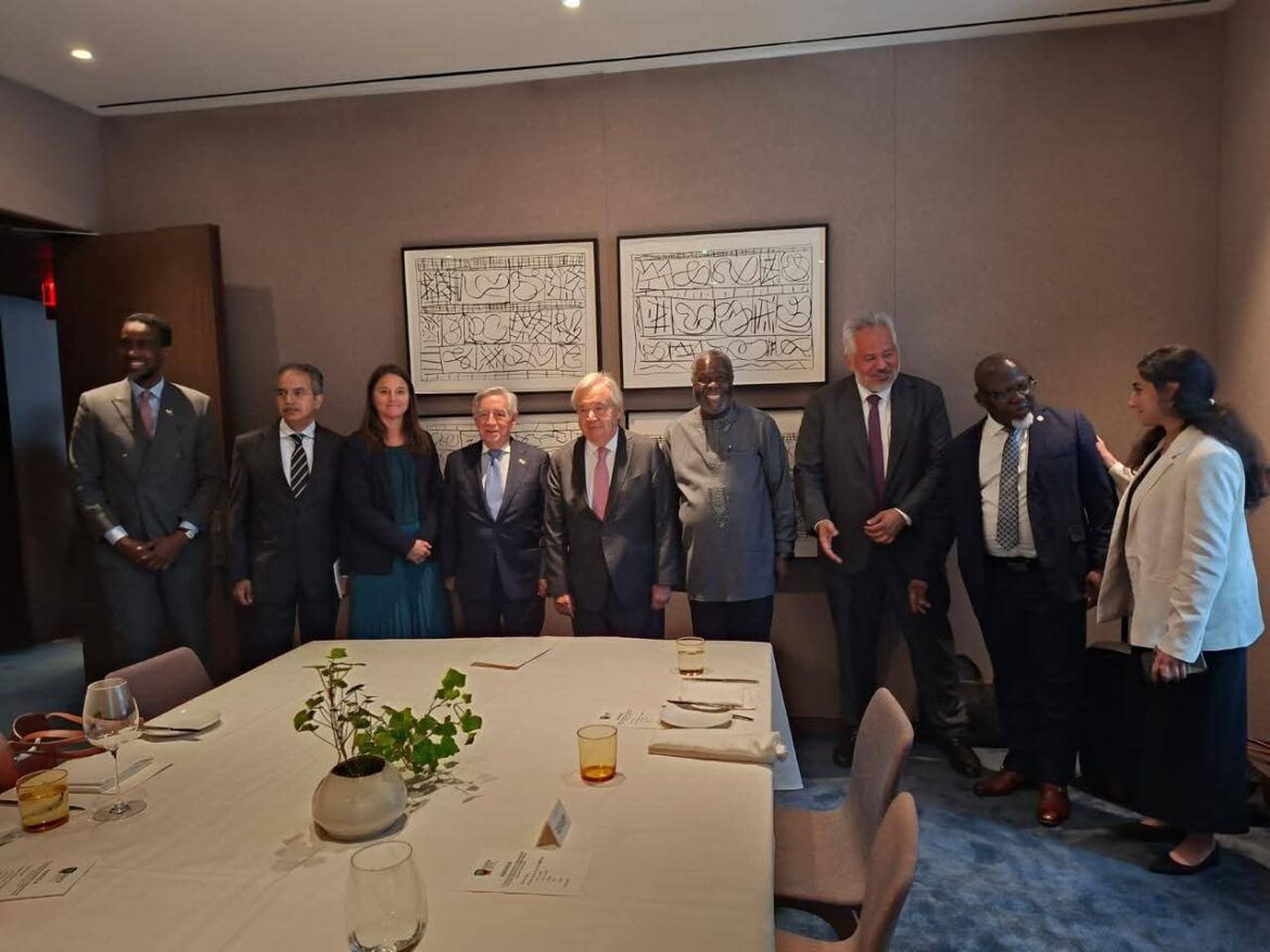 Liberia Hosts UN Chief, E10 in New York