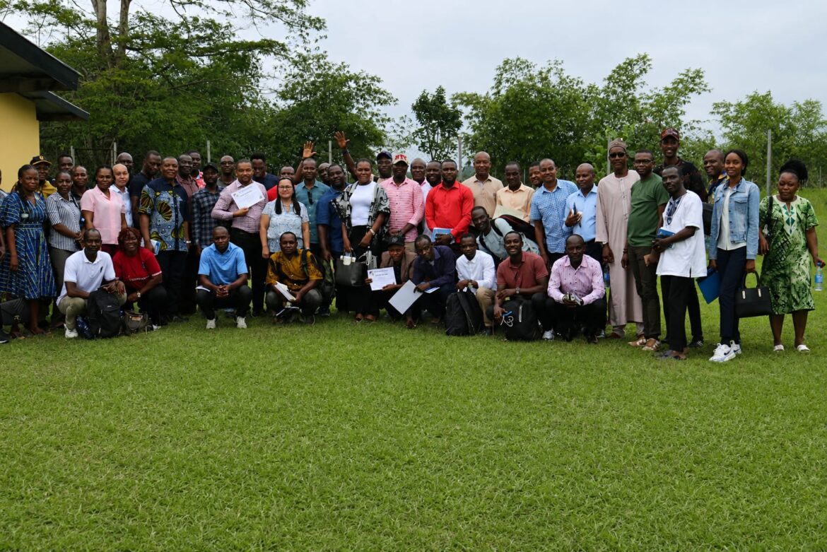 Liberia: Tubman University Trains 106 Faculty on AI, Turnitin
