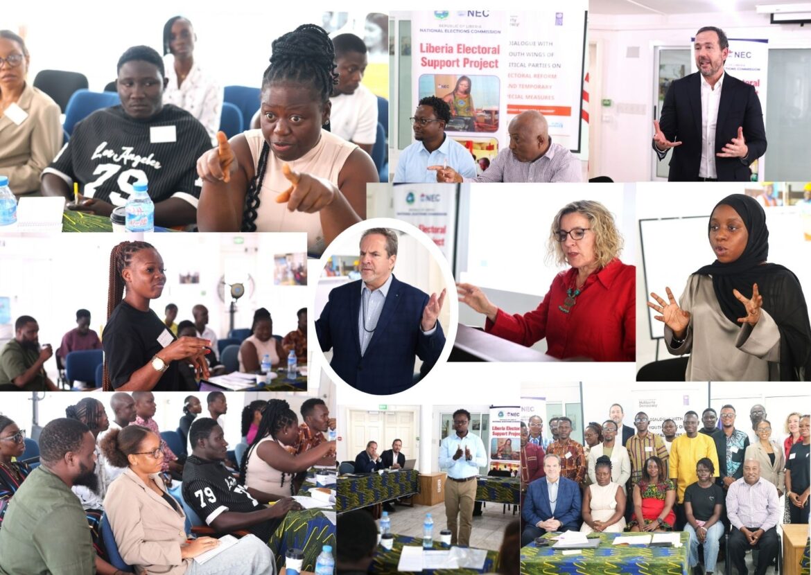 Young Political Leaders Engage on Electoral Reform and Inclusive Representation