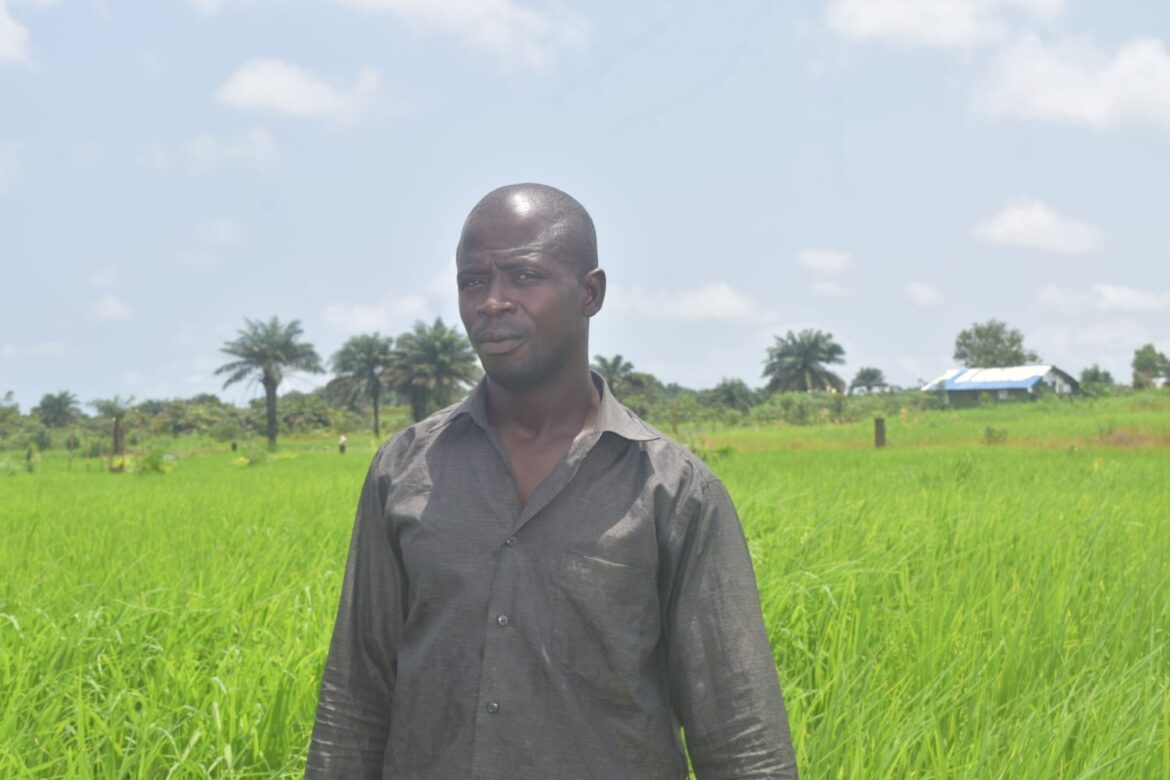 Liberia: CRCA Expands Rice Farming in Margibi Under ARREST Agenda