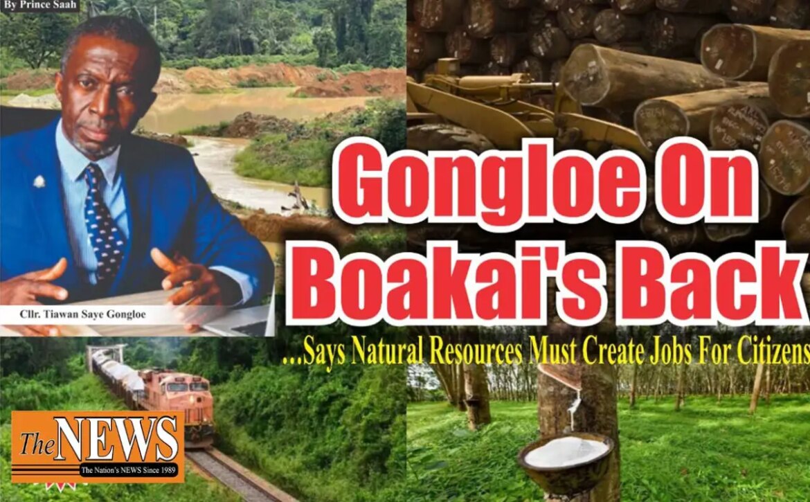Gongloe On Boakai’s Back …Says Natural Resources Must Create Jobs For Citizens – The News Newspaper Liberia