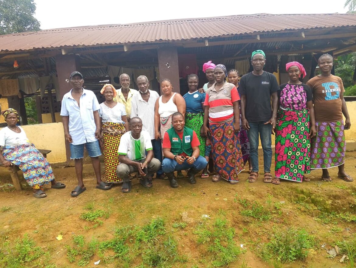 Food Scarcity in Elephant Habitats Likely Fuels Human-Wildlife Conflict in Western Liberia
