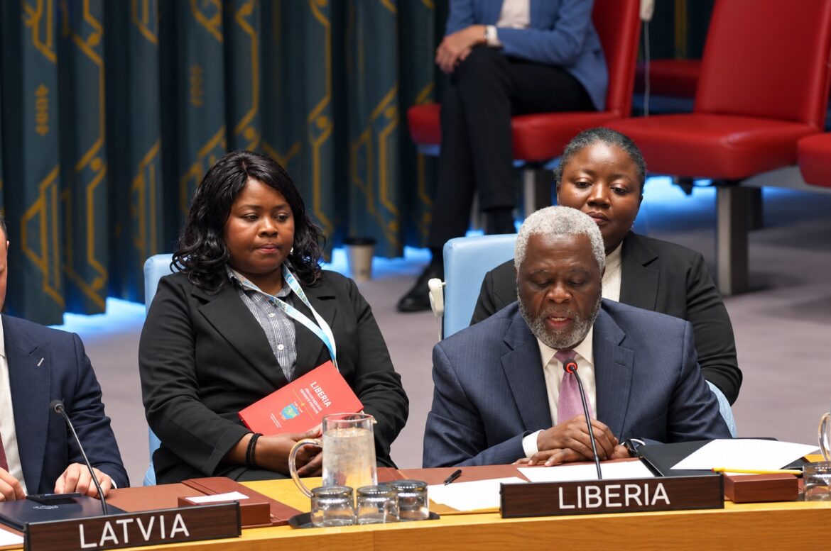 Haiti Gang Force at Under a Third of Strength, Liberia Tells UN Council