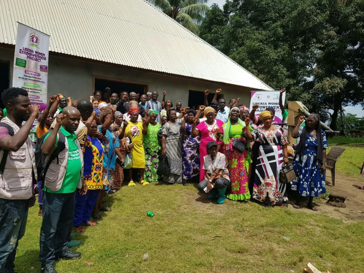 Liberia: Grand Cape Mount Women Turn Grants Into Revolving Loans