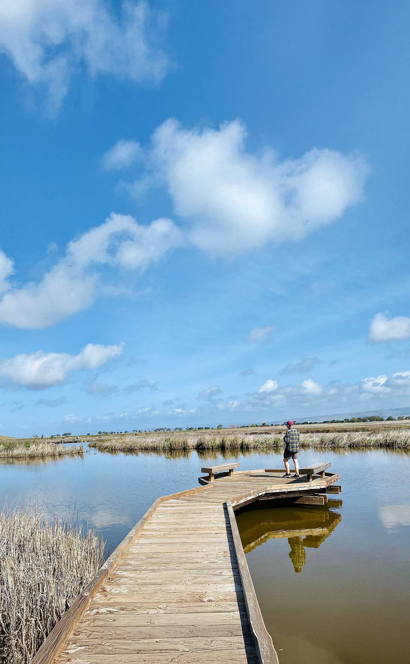 Flooding in Coyote Hills - Locava
