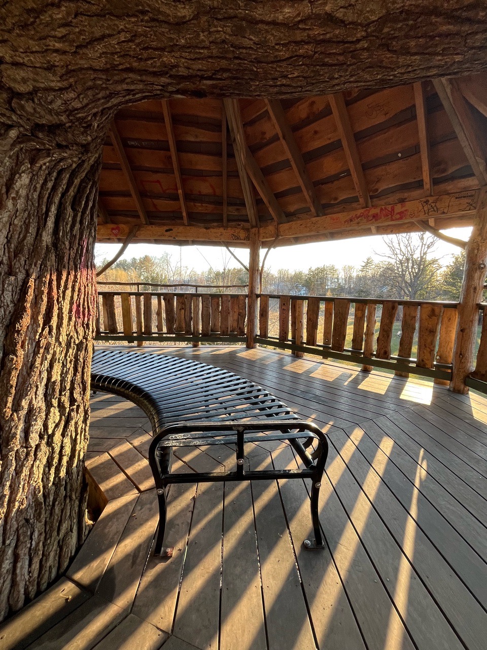 Treehouse at Oakledge - Locava