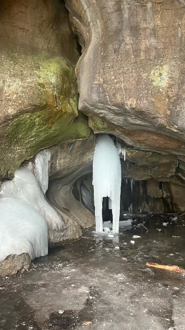 Sea Caves at Arthur Park - Locava