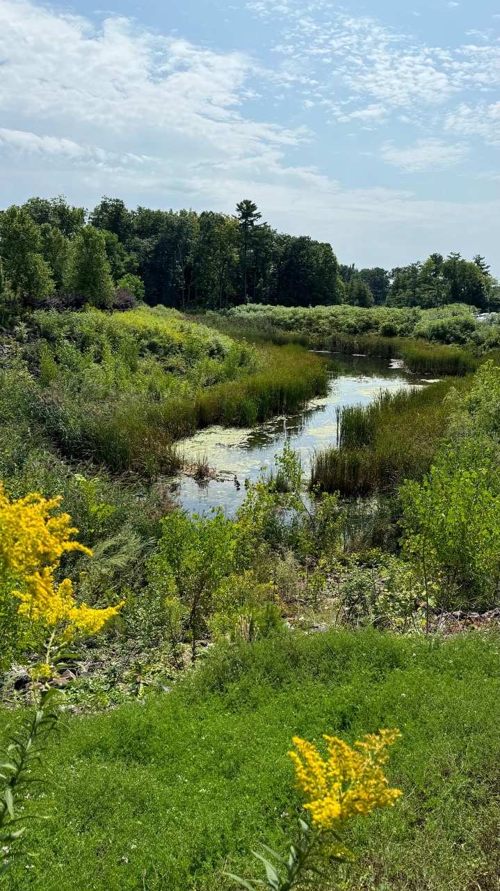 UVM campus  - Locava