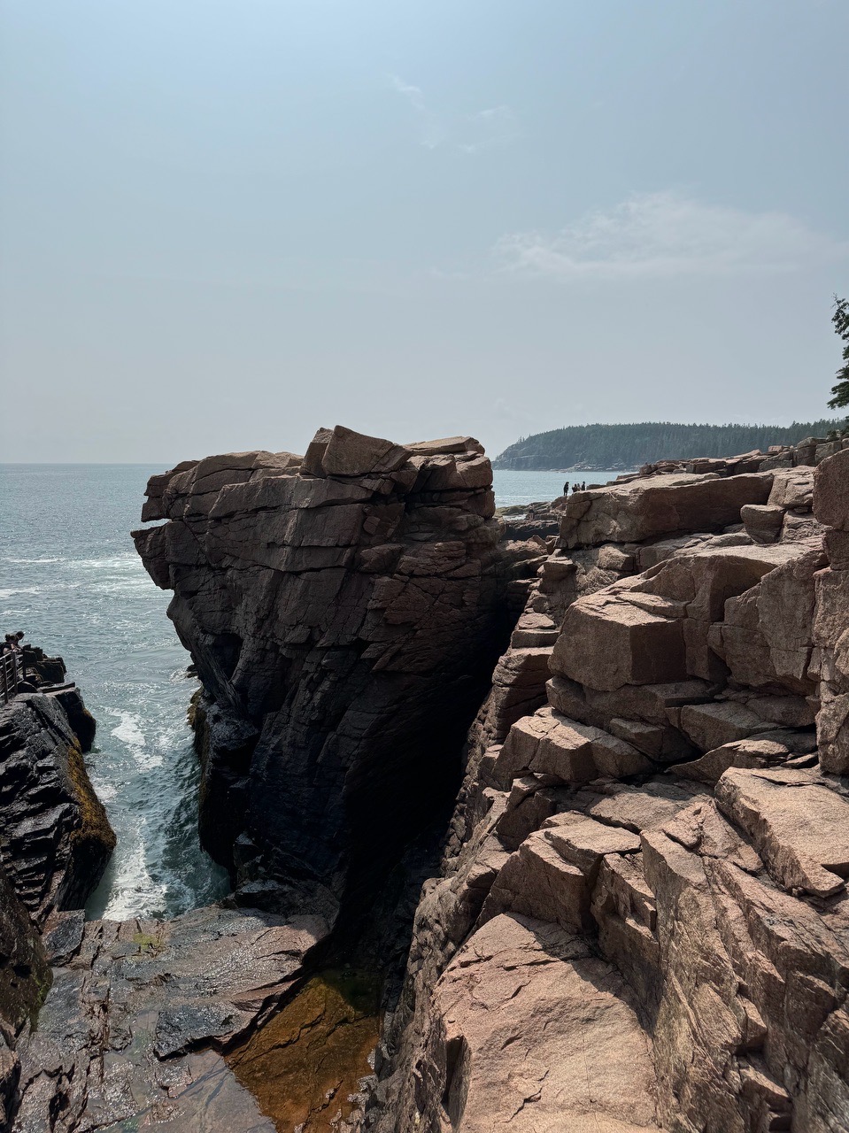 Untitled Post - Locava