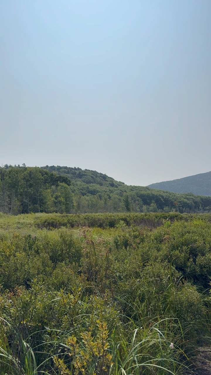 Untitled Post in Maine - Locava