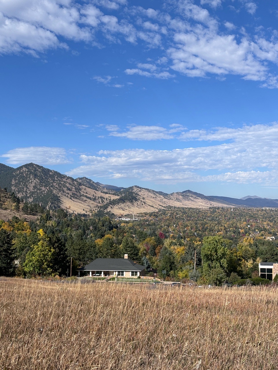 Great dog walk with a view in Colorado - Locava