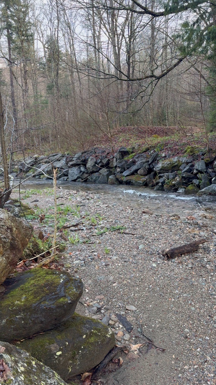 Bingo Brook Site 10 Watee Access - Locava