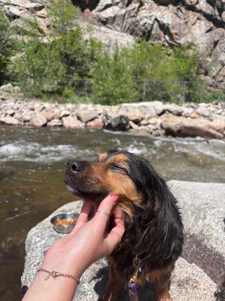 Boulder Canyon Creek - Locava