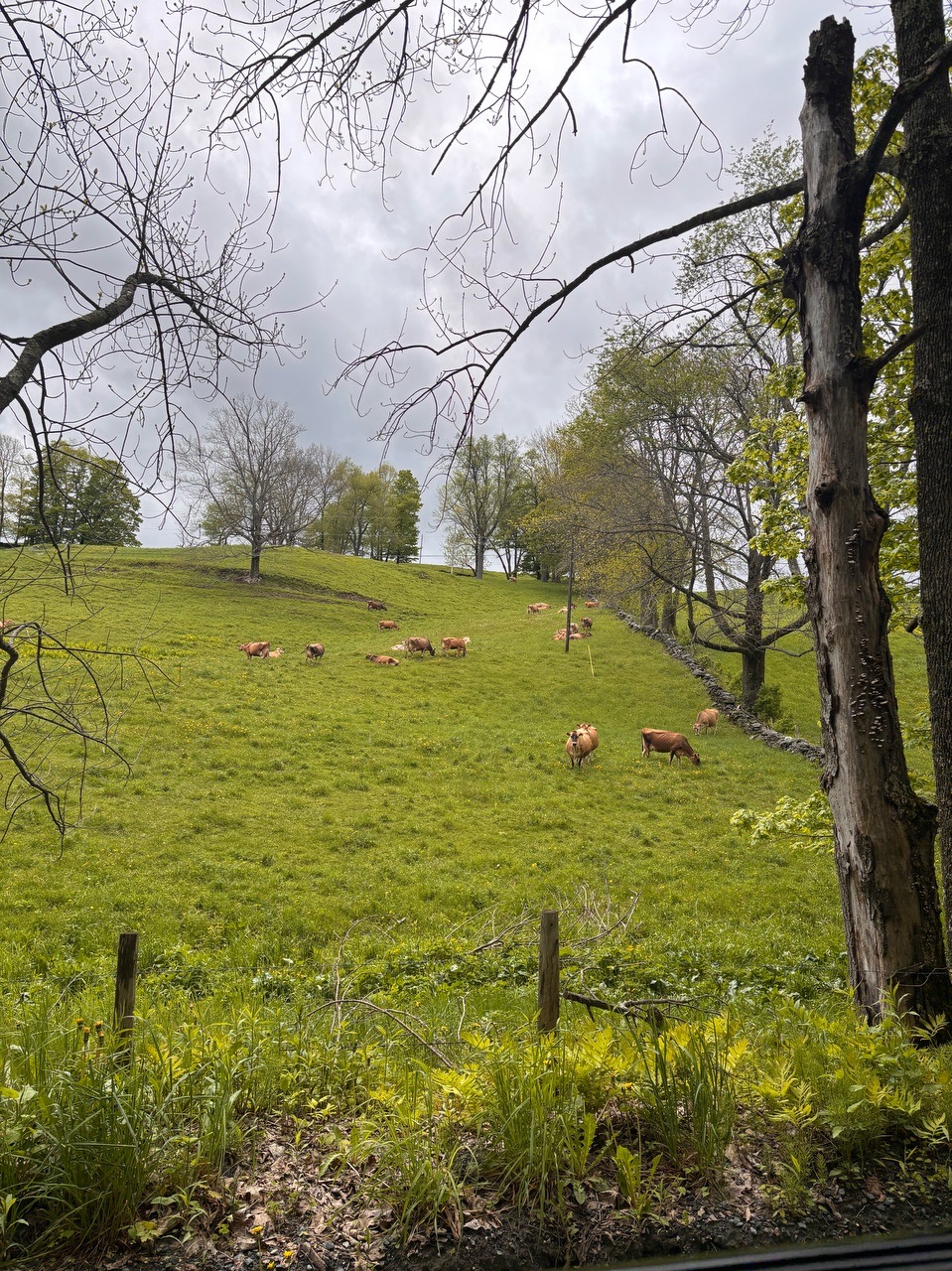 Farm Drive  - Locava