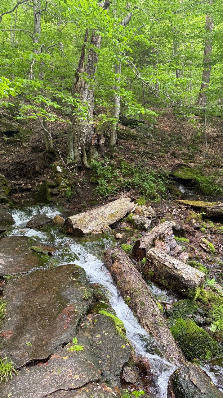 Natural mountain spring - Locava