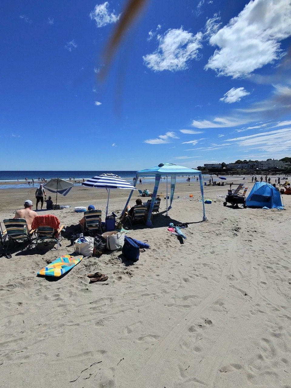 Untitled Post - Locava