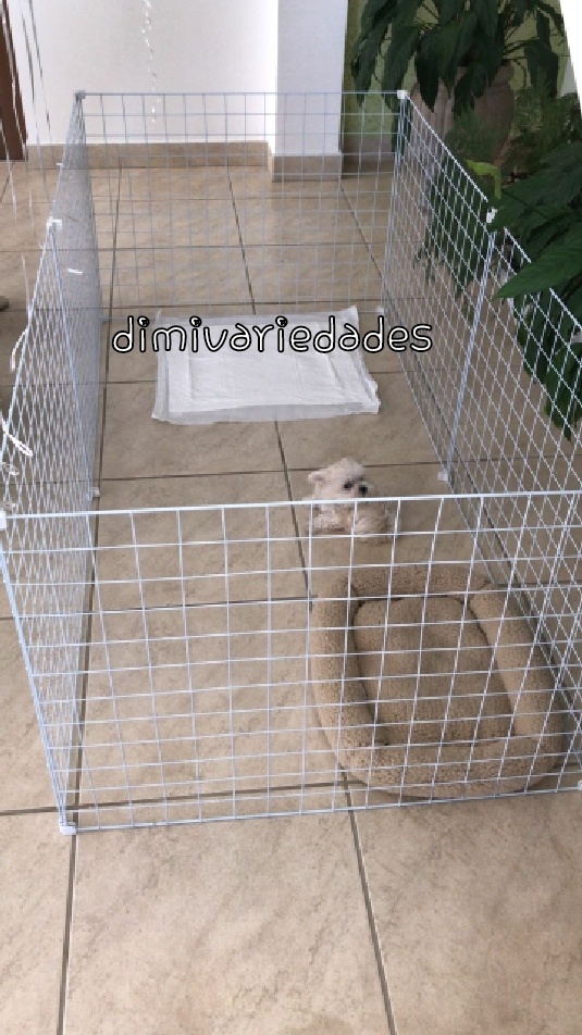 CERCADO PARA CACHORRO DE PEQUENO PORTE 6.6/6 CÒD:4089