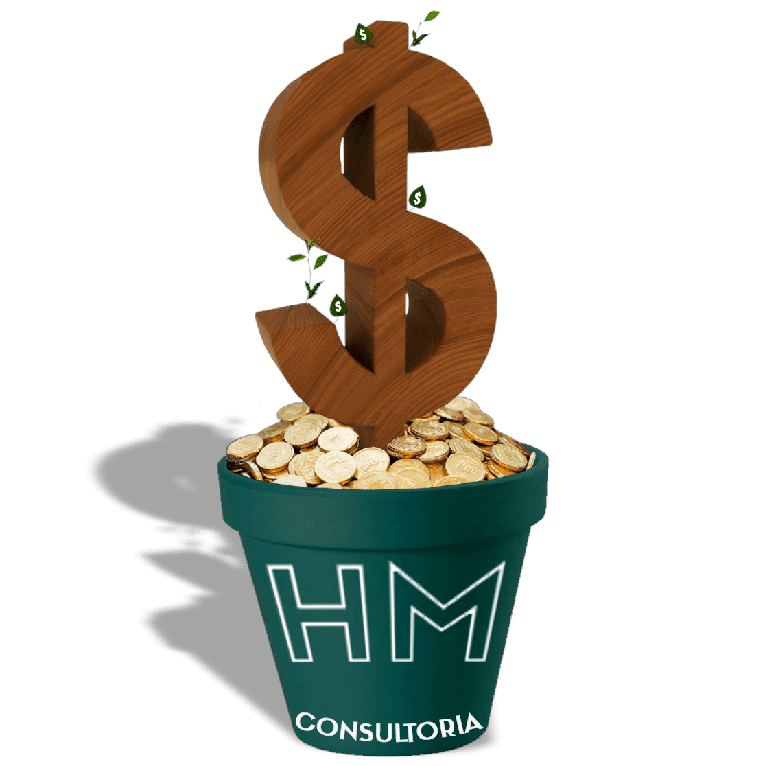 Help Money Consultoria