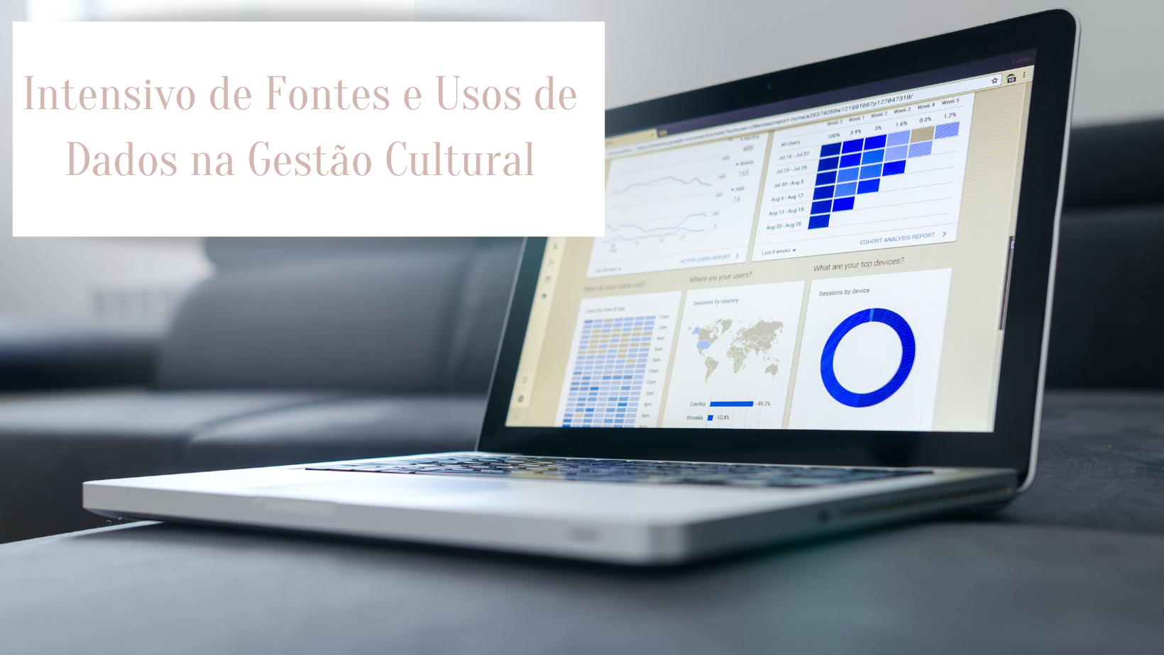 Intensivo de Fontes e Usos de Dados na Gestão Cultural [online]