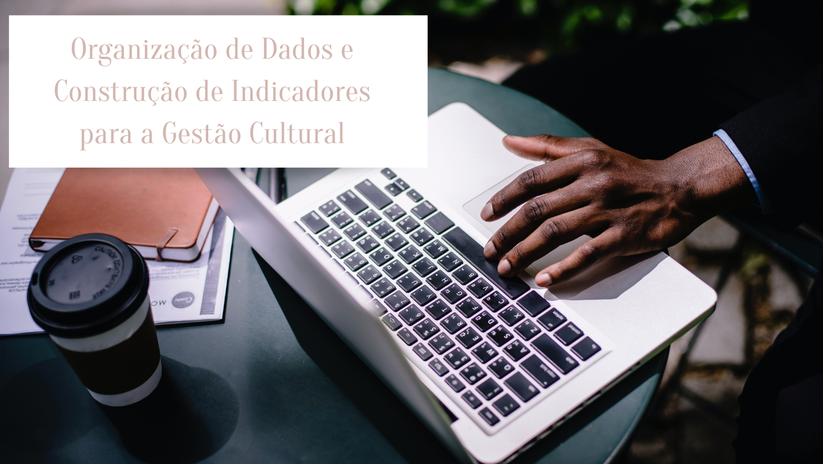 Organização de Dados e Construção de Indicadores para a Gestão Cultural [online]