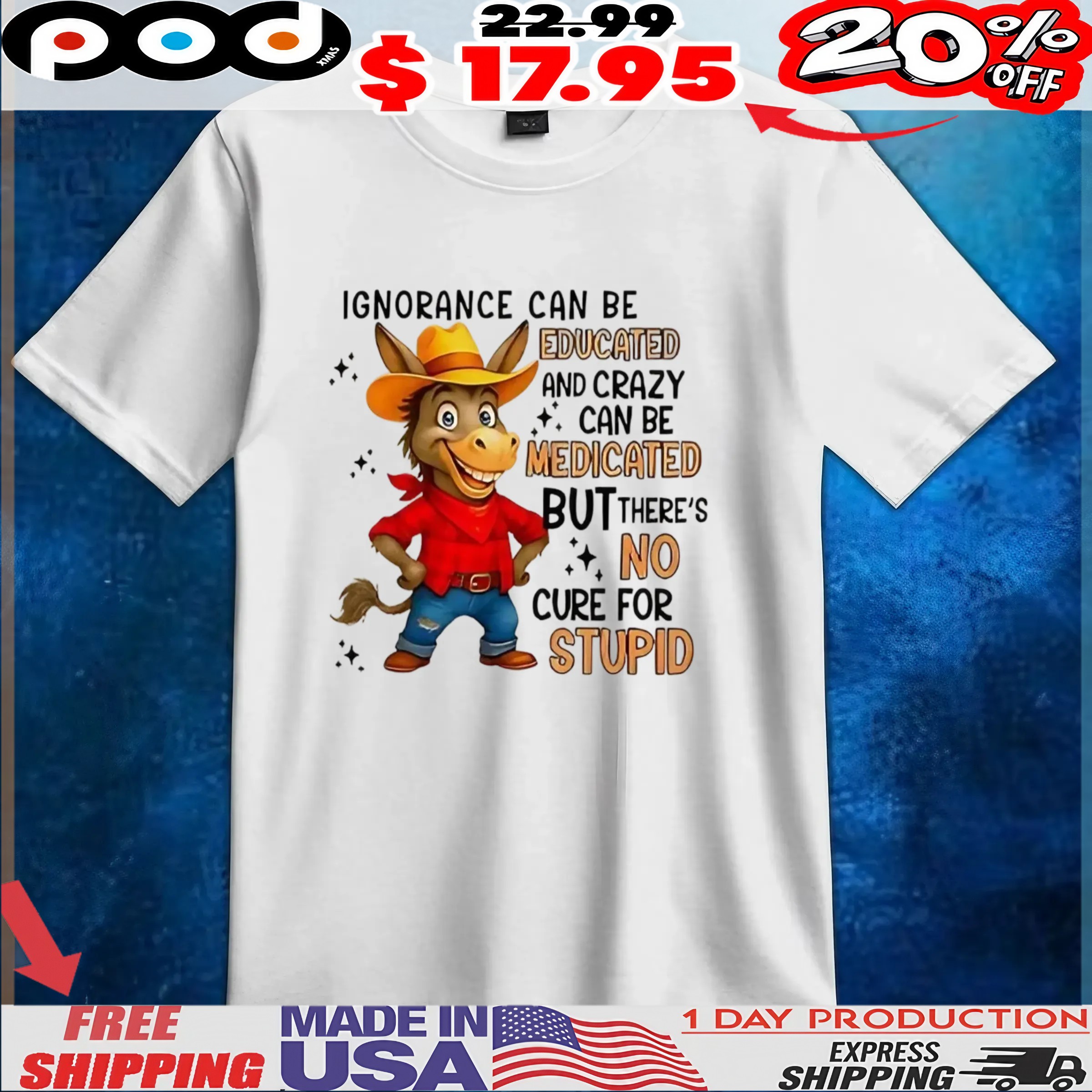 Ignorance can be educated and crazy can be medicated but there’s no cure for stupid t shirt