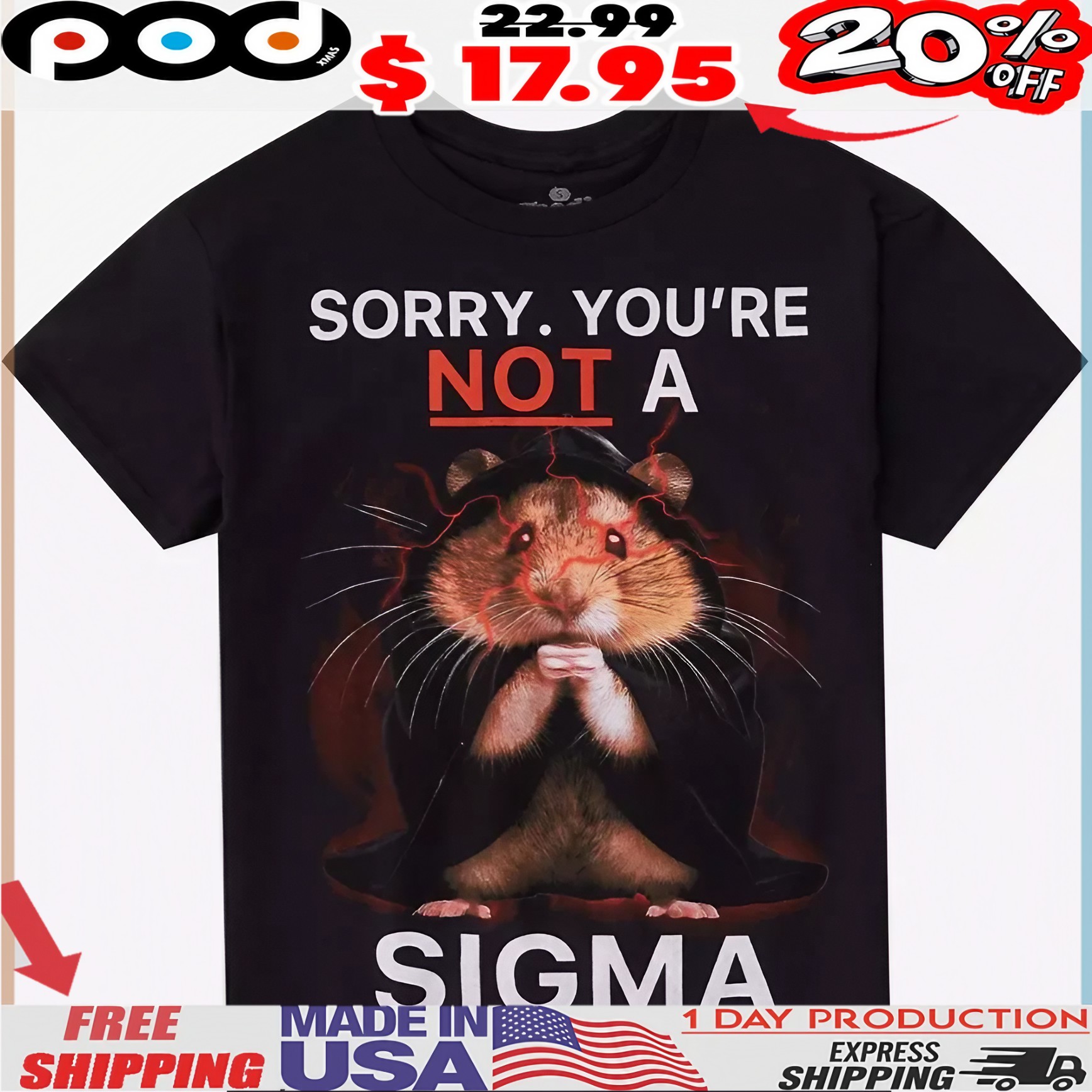 Sigma Sorry You're Not A Sigma T Shirt