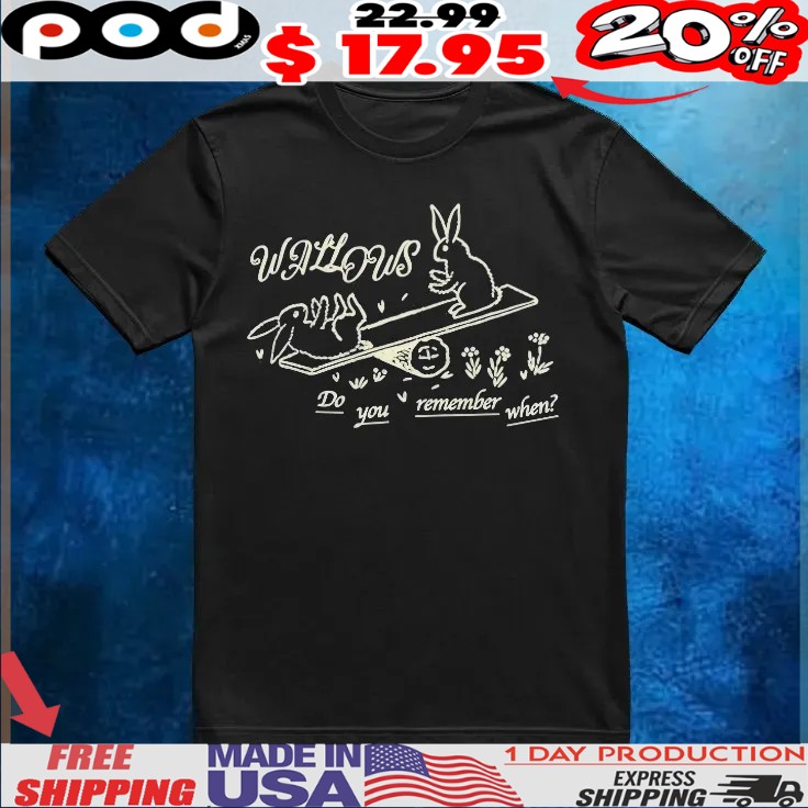 Wallows Do You Remember When Bunny T Shirt