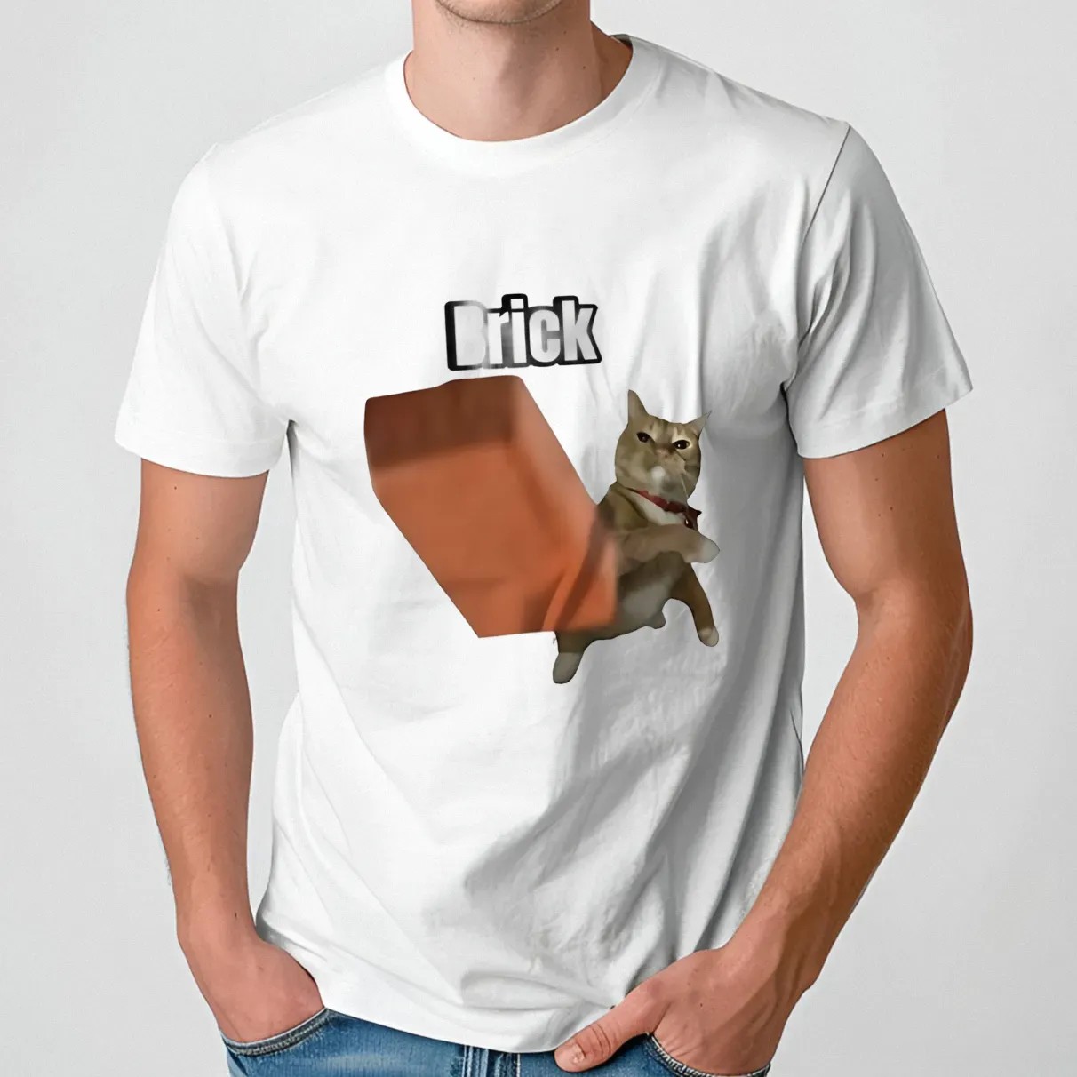Cat throwing brick shirt