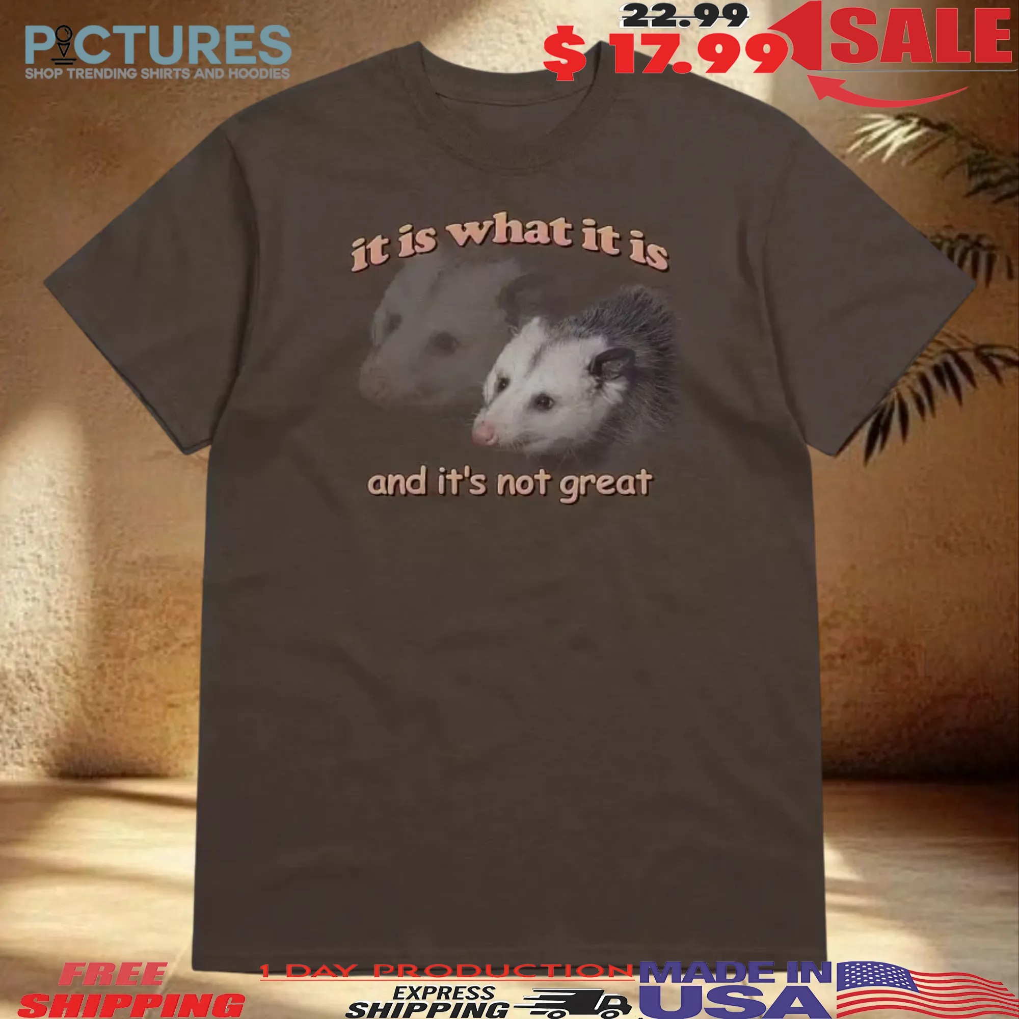 Possum It Is What It Is And It's Not Great T Shirt