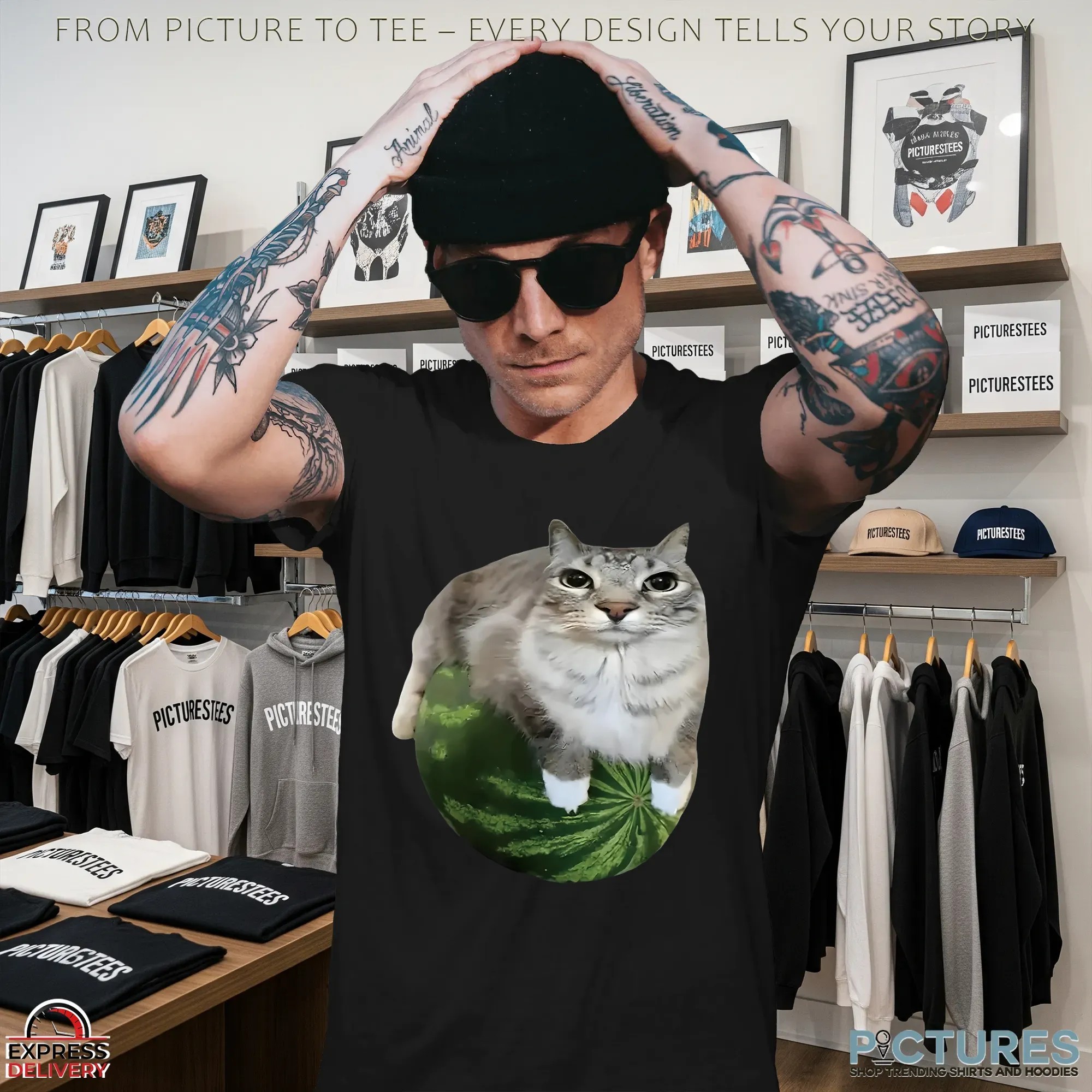 Silly Watermelon Cat T Shirt