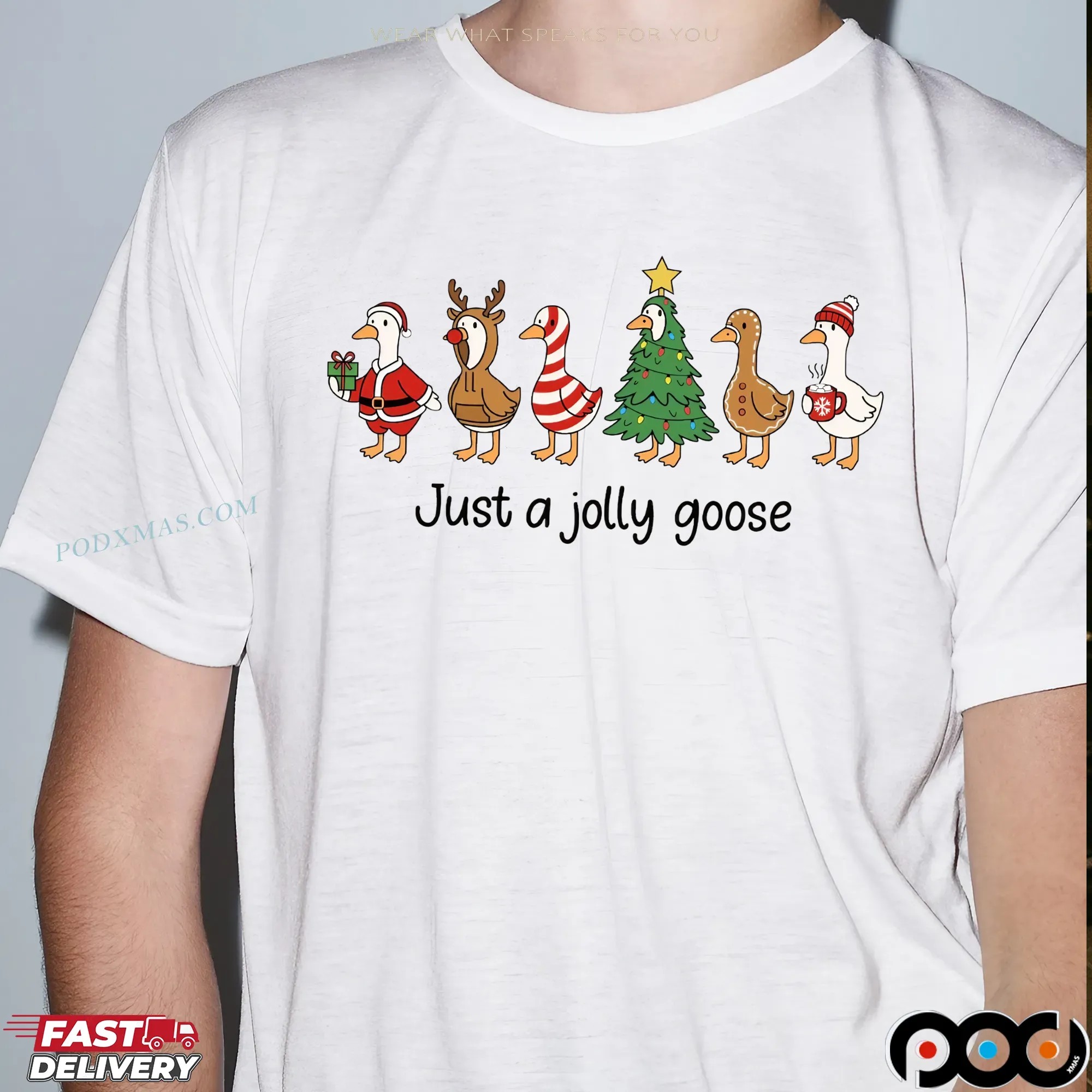 Just a Jolly Goose 2025 Christmas T Shirt 9 Just a Jolly Goose 2025 Christmas T Shirt
