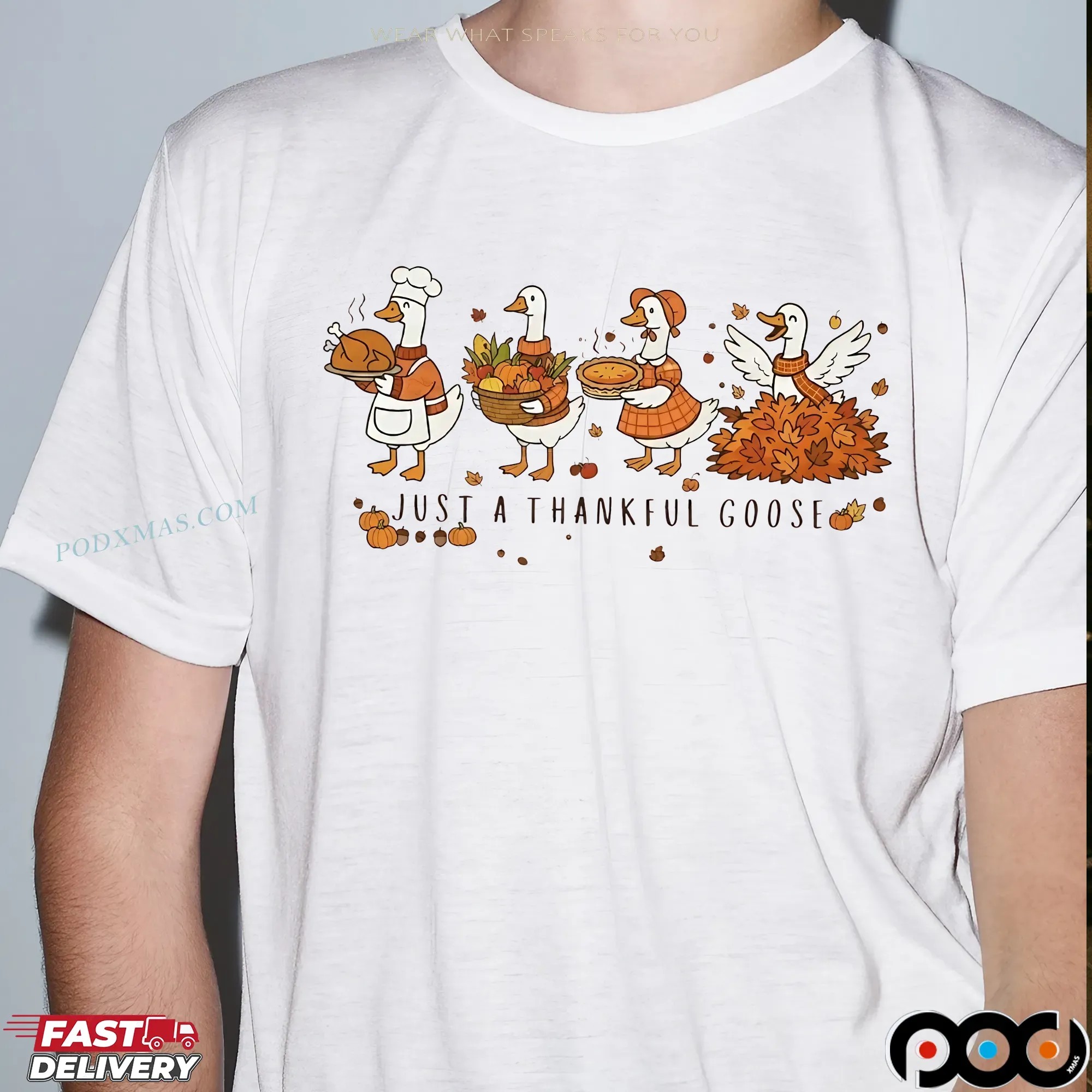 Just a Thankful Silly Goose Thanksgiving Goose Fall Season T Shirt