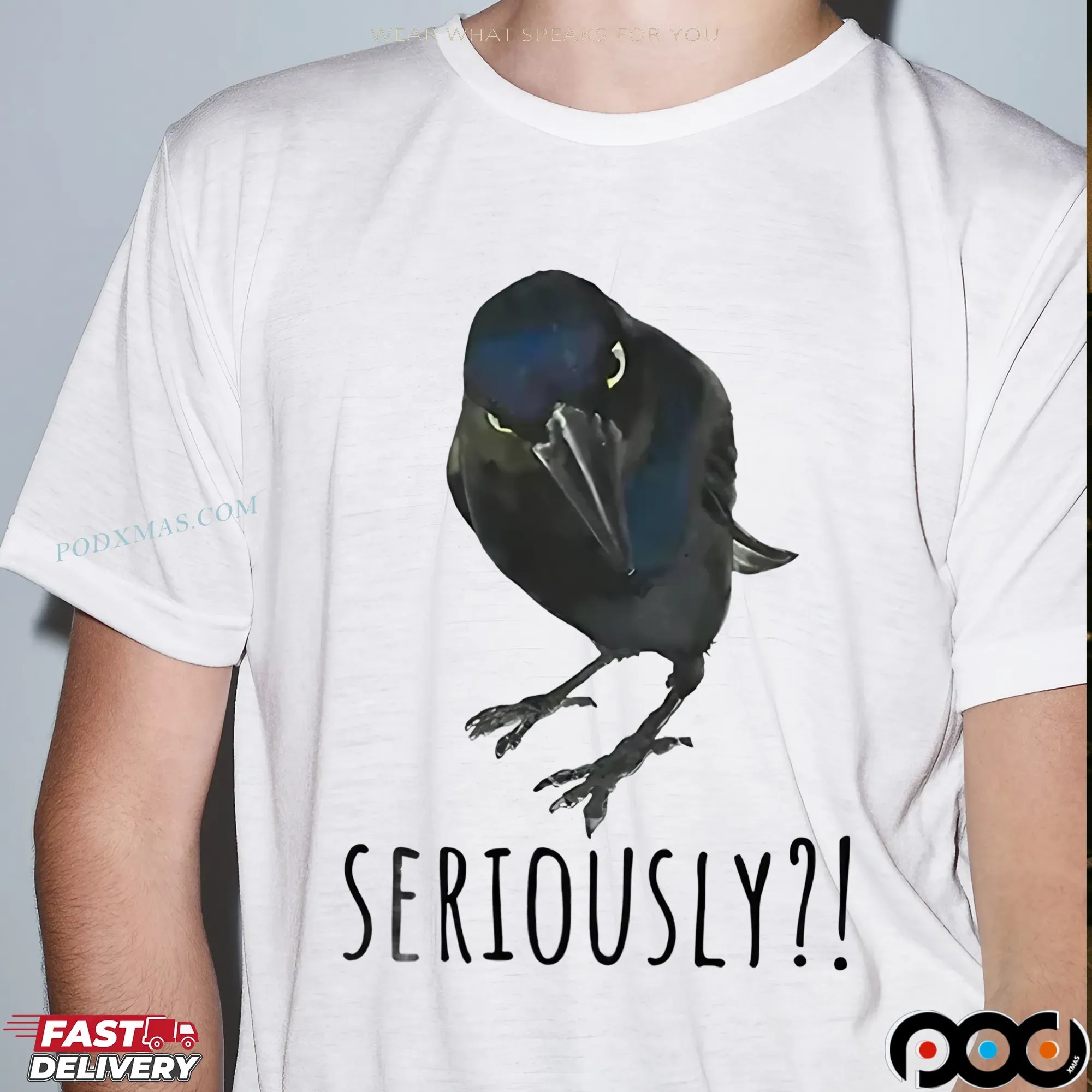 Seriously Raven's Question T Shirt 9 Seriously Raven's Question T Shirt