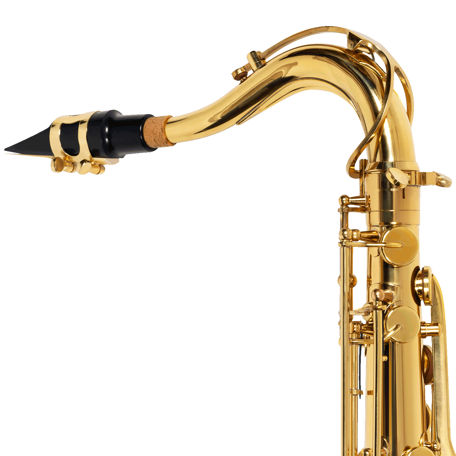 Saxofone Tenor Soul - SaxShop - A casa do Saxofonista