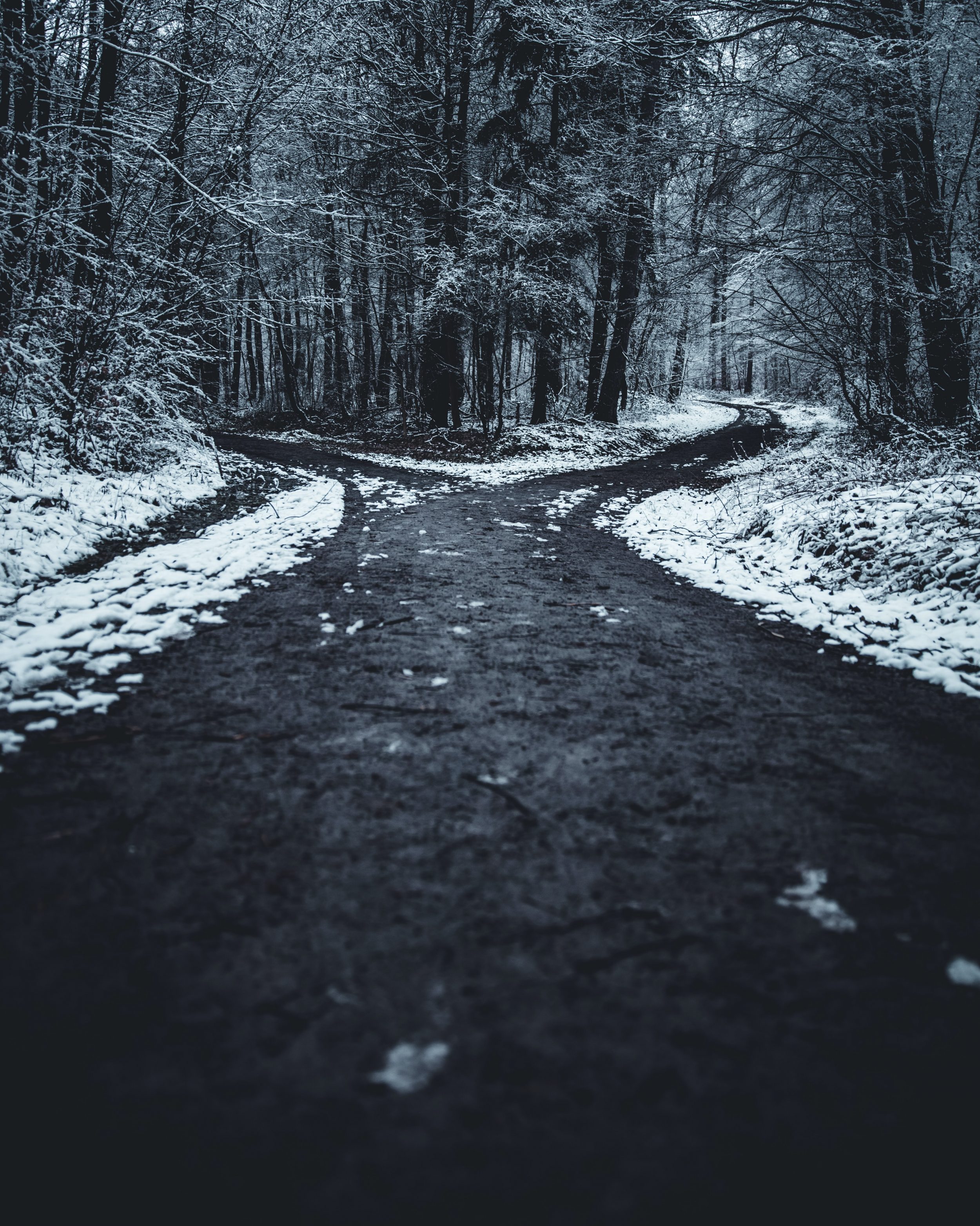 oliver-roos-PCNdauVPbjA-unsplash